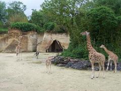 149 BIO PARC DE DOUE LA FONTAINE 1- 2016_000035